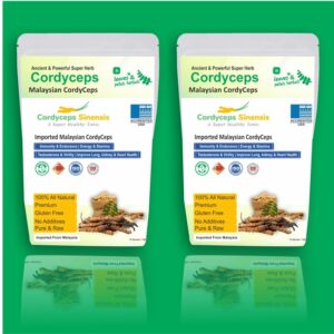 Cordyceps Buy Now