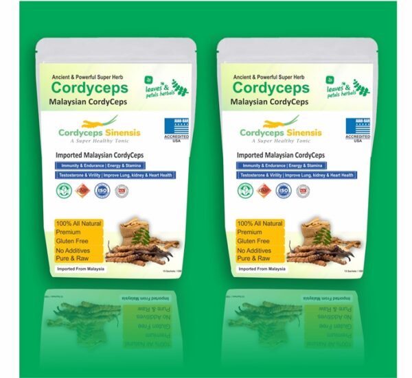 Cordyceps Buy Now